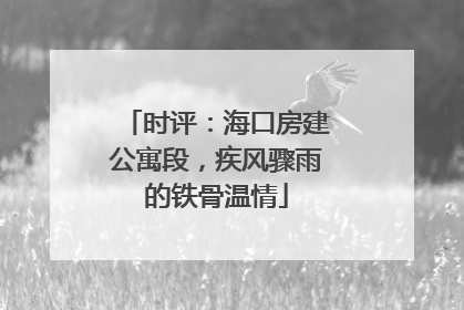 时评：海口房建公寓段，疾风骤雨的铁骨温情