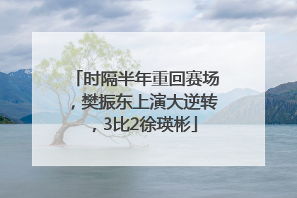 时隔半年重回赛场，樊振东上演大逆转，3比2徐瑛彬