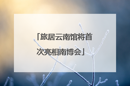 旅居云南馆将首次亮相南博会