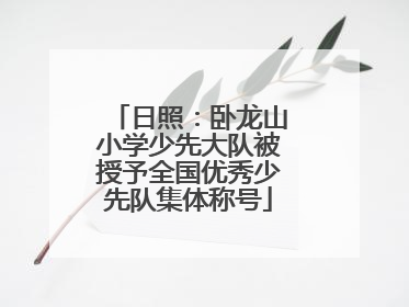 日照：卧龙山小学少先大队被授予全国优秀少先队集体称号