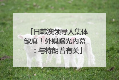 日韩澳领导人集体缺席！外媒曝光内幕：与特朗普有关