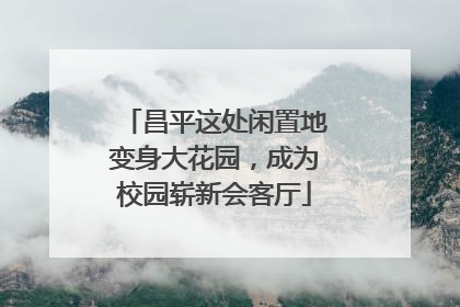 昌平这处闲置地变身大花园，成为校园崭新会客厅