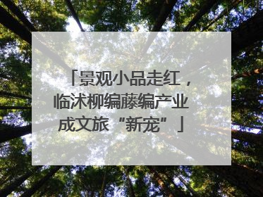 景观小品走红，临沭柳编藤编产业成文旅“新宠”