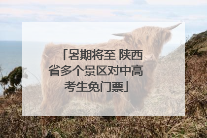 暑期将至 陕西省多个景区对中高考生免门票
