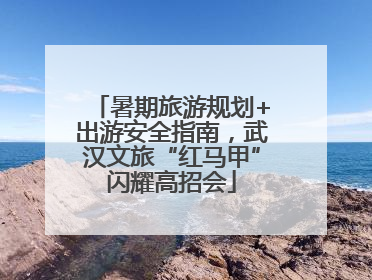 暑期旅游规划+出游安全指南，武汉文旅“红马甲”闪耀高招会