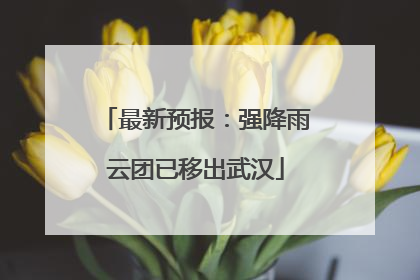 最新预报：强降雨云团已移出武汉