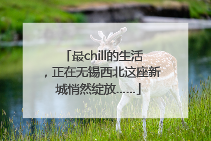 最chill的生活，正在无锡西北这座新城悄然绽放……
