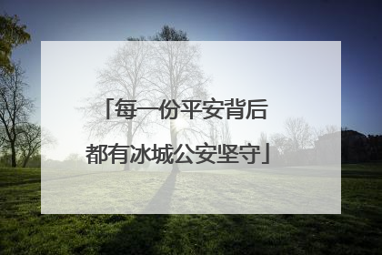 每一份平安背后 都有冰城公安坚守