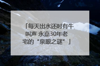 每天出水还时有牛叫声 永嘉30年老宅的“泉眼之谜”