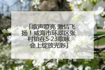 歌声嘹亮 激情飞扬！威海市环翠区张村镇在5·23歌咏会上绽放光彩
