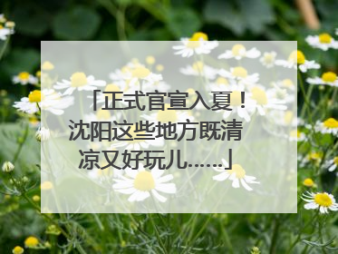 正式官宣入夏！沈阳这些地方既清凉又好玩儿……