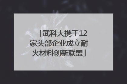 武科大携手12家头部企业成立耐火材料创新联盟