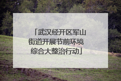 武汉经开区军山街道开展节前环境综合大整治行动