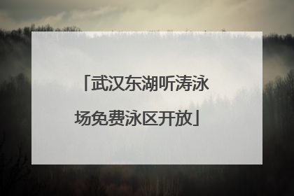 武汉东湖听涛泳场免费泳区开放