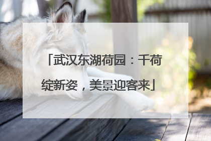 武汉东湖荷园：千荷绽新姿，美景迎客来