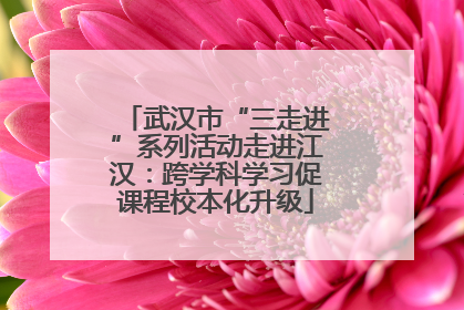 武汉市“三走进”系列活动走进江汉：跨学科学习促课程校本化升级