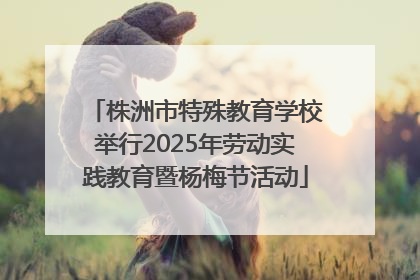 株洲市特殊教育学校举行2025年劳动实践教育暨杨梅节活动