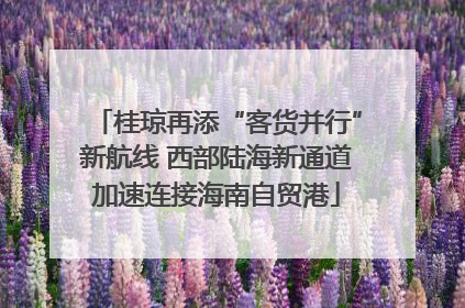 桂琼再添“客货并行”新航线 西部陆海新通道加速连接海南自贸港