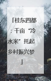桂东四都：千亩“冷水米”托起乡村振兴梦