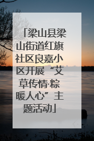 梁山县梁山街道红旗社区良嘉小区开展“艾草传情·粽暖人心”主题活动