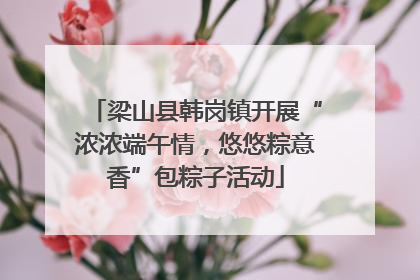 梁山县韩岗镇开展“浓浓端午情，悠悠粽意香”包粽子活动