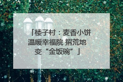 楼子村：麦香小饼温暖幸福院 撂荒地变“金饭碗”