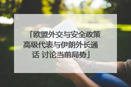 欧盟外交与安全政策高级代表与伊朗外长通话 讨论当前局势