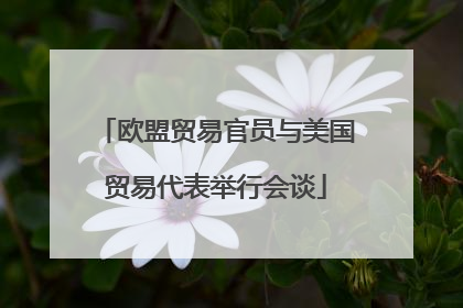 欧盟贸易官员与美国贸易代表举行会谈