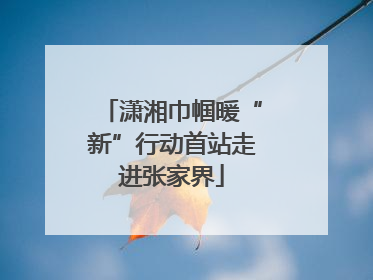 潇湘巾帼暖“新”行动首站走进张家界