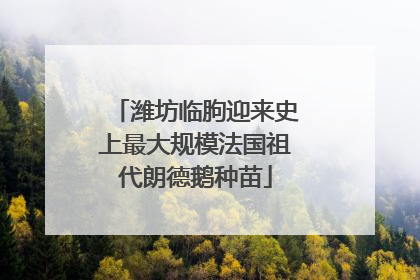 潍坊临朐迎来史上最大规模法国祖代朗德鹅种苗