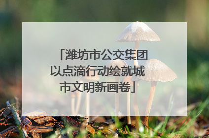 潍坊市公交集团以点滴行动绘就城市文明新画卷