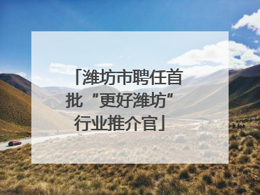 潍坊市聘任首批“更好潍坊”行业推介官