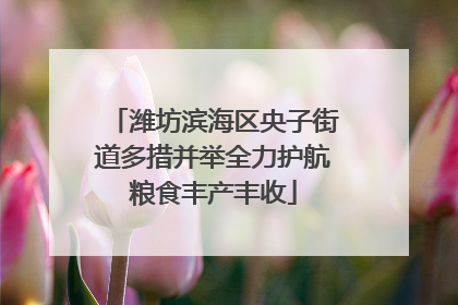 潍坊滨海区央子街道多措并举全力护航粮食丰产丰收