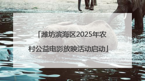 潍坊滨海区2025年农村公益电影放映活动启动