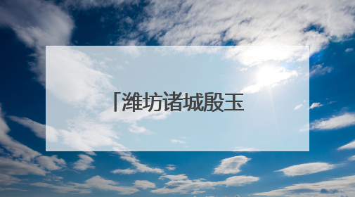 潍坊诸城殷玉宝：种粮“蹚”出新路子