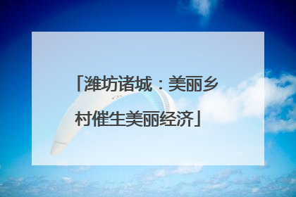 潍坊诸城：美丽乡村催生美丽经济
