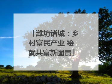 潍坊诸城：乡村富民产业 绘就共富新图景