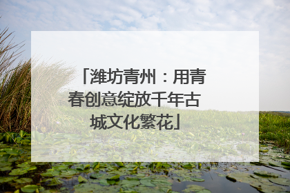 潍坊青州：用青春创意绽放千年古城文化繁花
