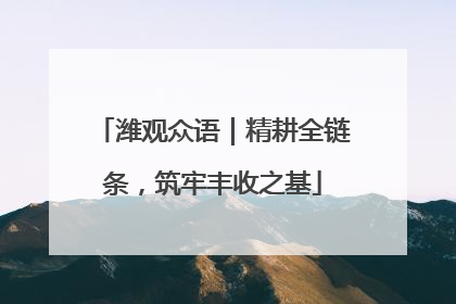 潍观众语｜精耕全链条，筑牢丰收之基