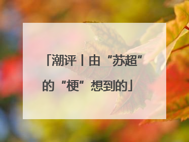 潮评丨由“苏超”的“梗”想到的