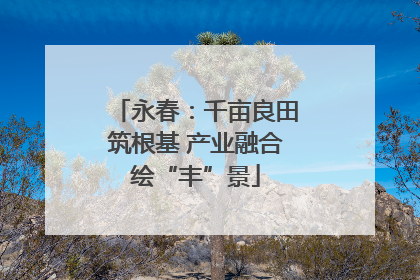 永春：千亩良田筑根基 产业融合绘“丰”景