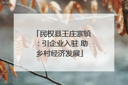 民权县王庄寨镇：引企业入驻 助乡村经济发展