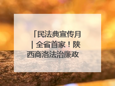 民法典宣传月｜全省首家！陕西商洛法治廉政教育基地“以案说纪”润人心