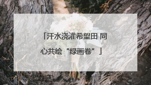汗水浇灌希望田 同心共绘“绿画卷”