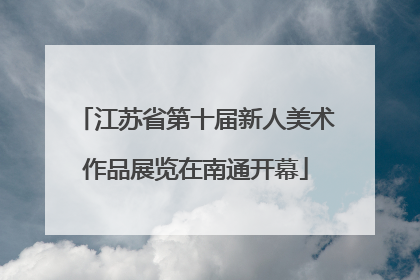 江苏省第十届新人美术作品展览在南通开幕