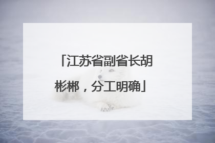 江苏省副省长胡彬郴，分工明确
