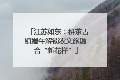 江苏如东：栟茶古镇端午解锁农文旅融合“新花样”