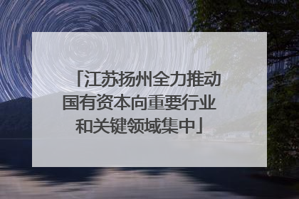 江苏扬州全力推动国有资本向重要行业和关键领域集中
