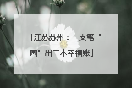 江苏苏州：一支笔“画”出三本幸福账