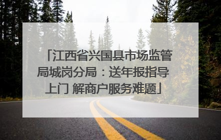 江西省兴国县市场监管局城岗分局：送年报指导上门 解商户服务难题